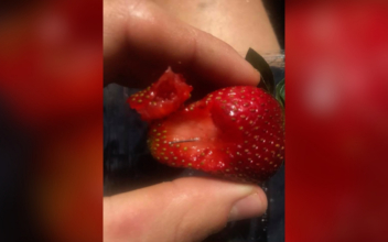 Woman Charged for Strawberry-Needle Contamination Scandal in Australia