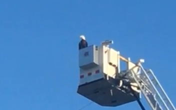 Bald Eagle Lands on Fire Truck’s 9/11 Tribute Display