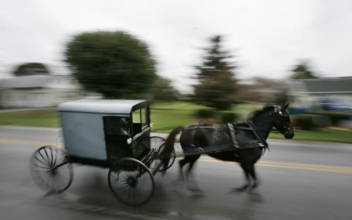 Why Were the Kids in 2 Amish Families Dying Suddenly? Researchers Find Some Answers