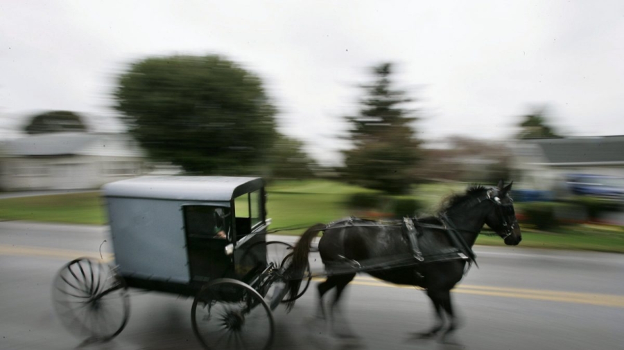 Car Hits Amish Buggy, Injuring Six Children