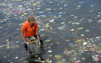 European Lawmakers Move to Ban Throw-Away Plastics