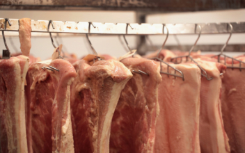 US Seizes 1 Million Pounds of Pork From China on Swine Fever Concerns