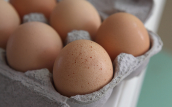 Bird Flu, Ukraine War Push Egg Prices Higher