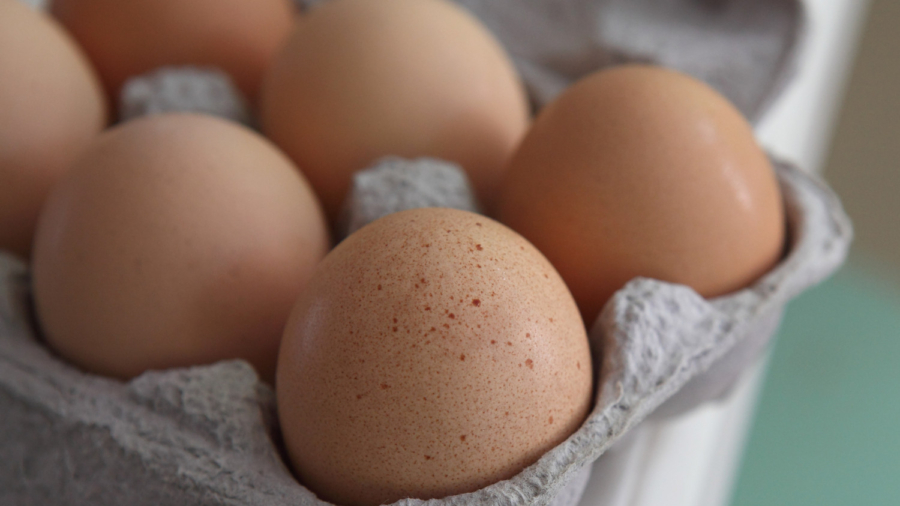 Salmonella Scare Triggers Egg Recall