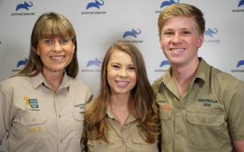 The Irwin Family Has Saved Over 90,000 Animals, Including Many Injured in the Australia Wildfires
