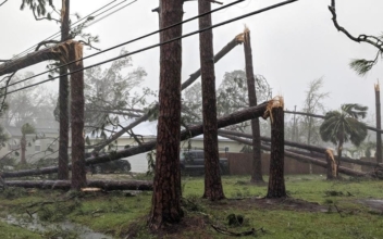 Hurricane Michael Downgraded Hits Georgia as Cat 3 , First Death Reported