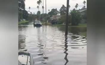 Video Shows Flash Flooding in St. Petersburg as Hurricane Michael Approaches Florida