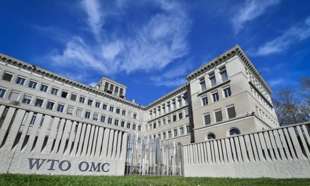 GettyImages-world-trade-organization-wto-945115862-700x420