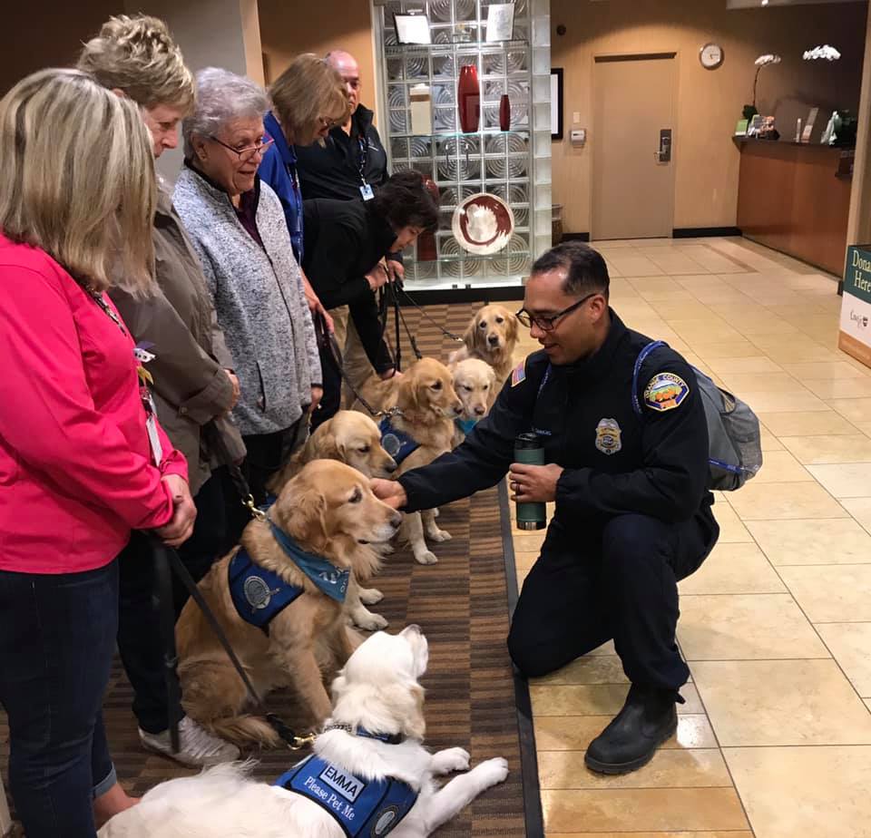 The group of therapy dogs, called LCC K-9 Comfort Dogs, were also on hand to bestow hugs and kisses before the firefighters of Orange County Fire Authority drove away from Irvine, California to tackle fires near Thousand Oaks on Nov. 11, 2018. (LCC K-9 Comfort Dogs via Storyful)
