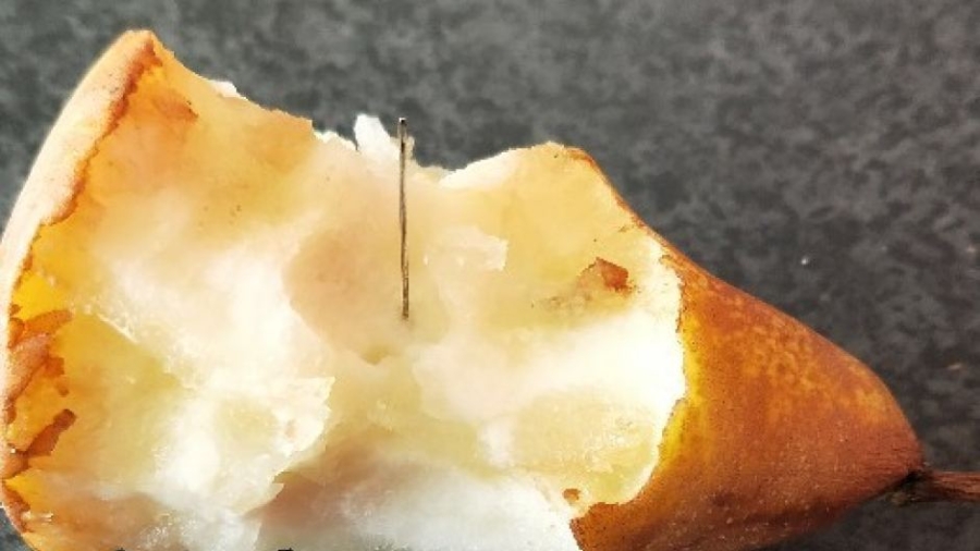 Needle Reported in Pear in Another Food Tampering Incident in Australia