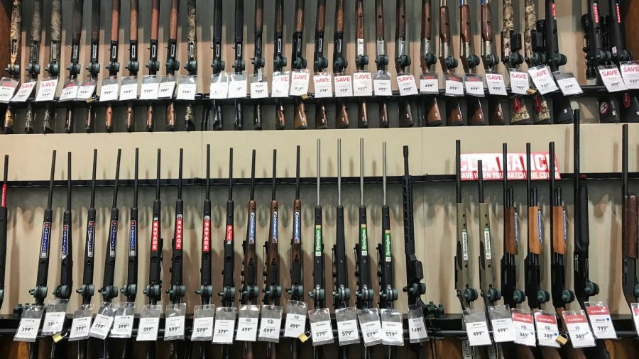 Montana Supreme Court Blocks Background Checks For Firearm Sales