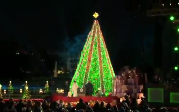 President Trump and First Lady Participate in National Christmas Tree Lighting Ceremony