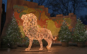 London Zoo Illuminated With Animal Sculptures for Christmas