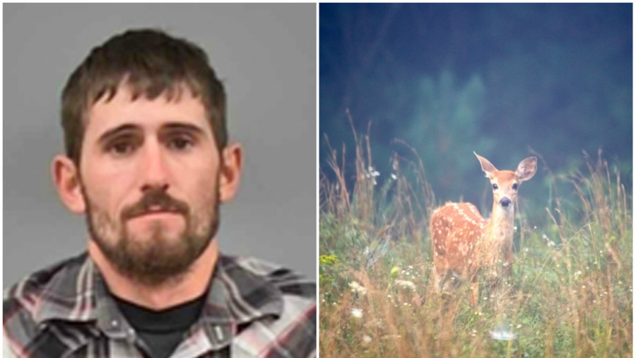 Deer Poacher Ordered to Repeatedly Watch ‘Bambi’ in Jail