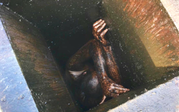 Man Stuck in Chinese Restaurant Grease Duct for 2 Days in California