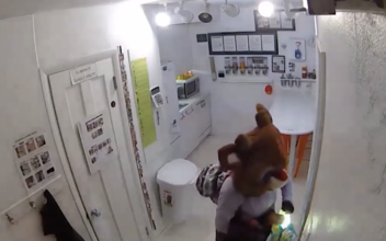 Police Search for Thief in Rudolph the Red-Nosed Reindeer Costume