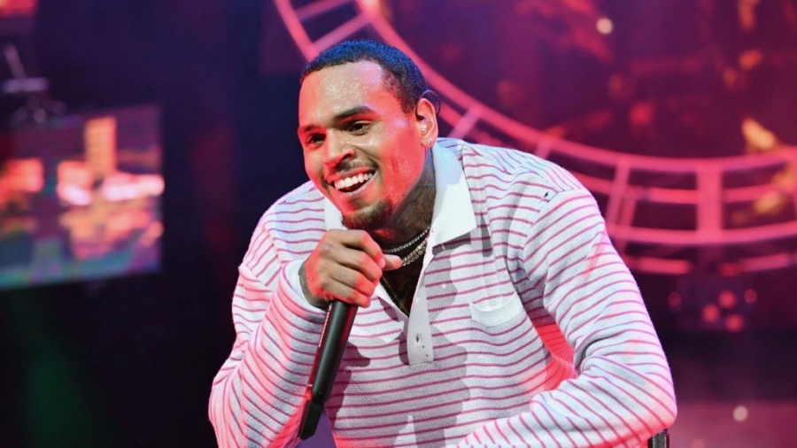 Chris Brown Faces Prison Sentence Over Allegedly Owning Monkey
