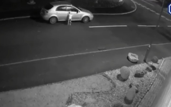 Video Shows Dog Being Abandoned on Side of Road ‘At Christmas’