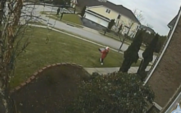 8-Year-Old Porch Pirate Caught on Camera