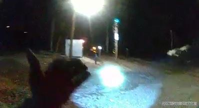 A police officer with the Waukegan Police Department was credited with saving the life of a 17-year-old girl who planned to step in front of a passing train on Dec. 11, 2018. He tackled her next to the train tracks. (Waukegan Police Department)