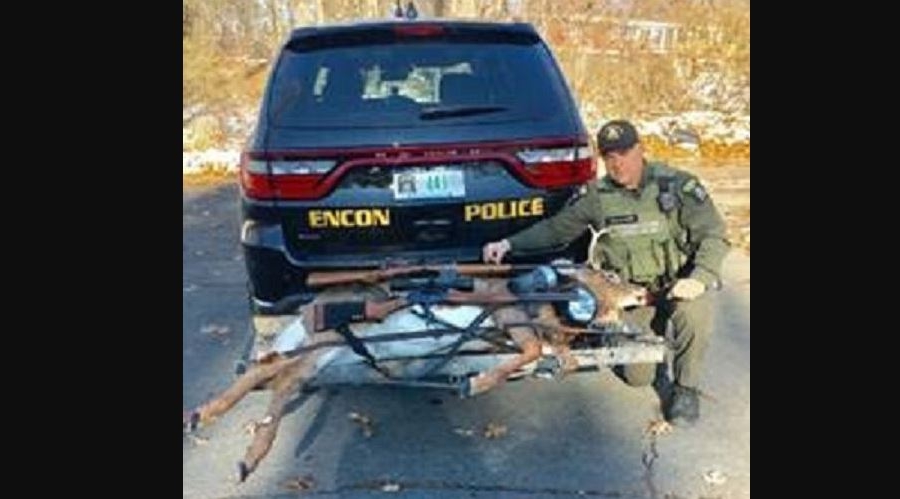 New York Officials Ticket Hunters After Shot Deer Jumps Out of Truck