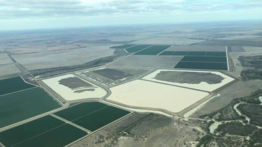 Aussie Farms Accused of Not Sharing Water Despite Murray River Disaster