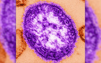 New York Mayor Orders Mandatory Measles Vaccinations, Declares Health Emergency