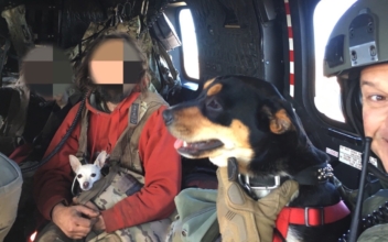 California Couple and Dogs Rescued After Two-Week Mountain Ordeal