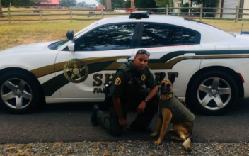 Arkansas Department Fires Sheriff’s Deputy After Chihuahua Shooting