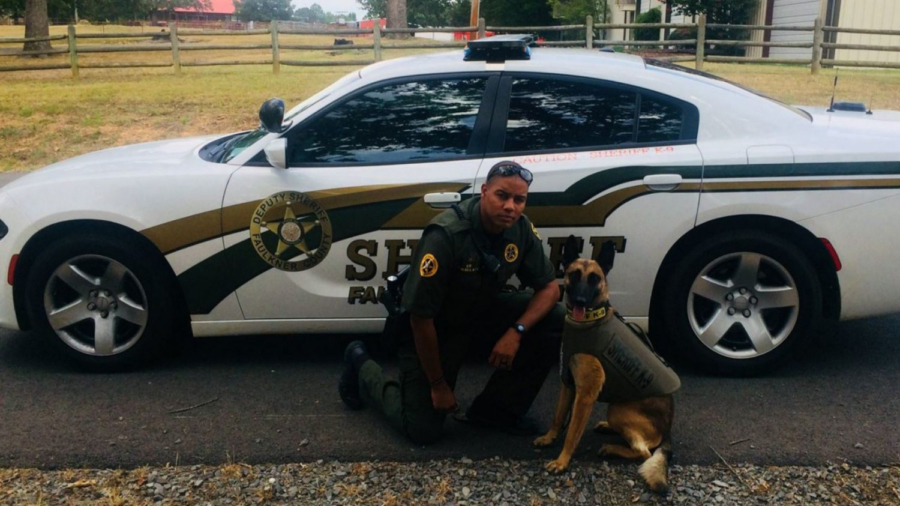Arkansas Department Fires Sheriff’s Deputy After Chihuahua Shooting