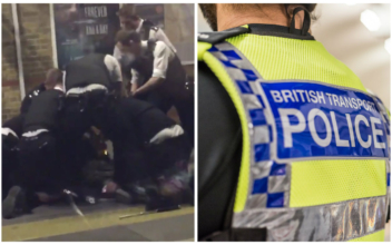 Machete-Wielding Man Tasered by Police on London Train Platform
