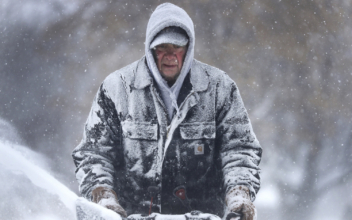 Man Found Frozen to Death as Polar Vortex Kills at Least 6