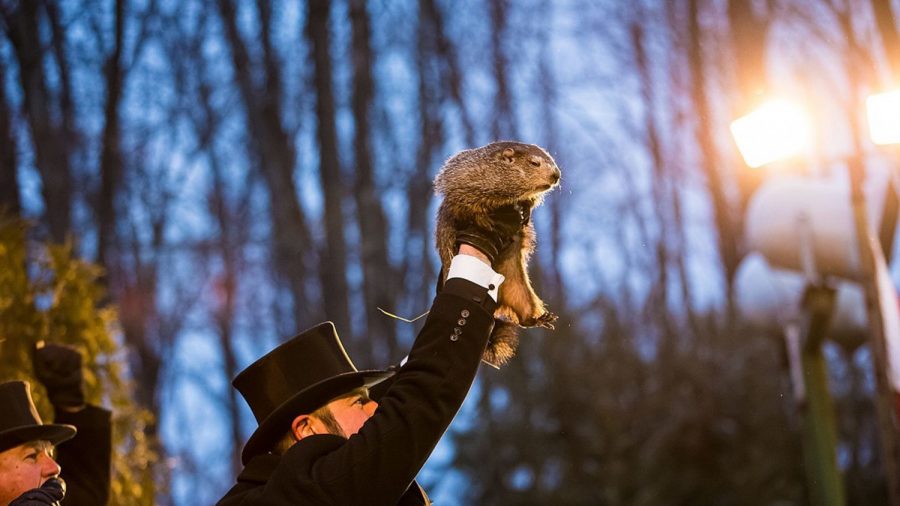 Early Spring Predicted: America’s Famous Groundhog Doesn’t See His Shadow
