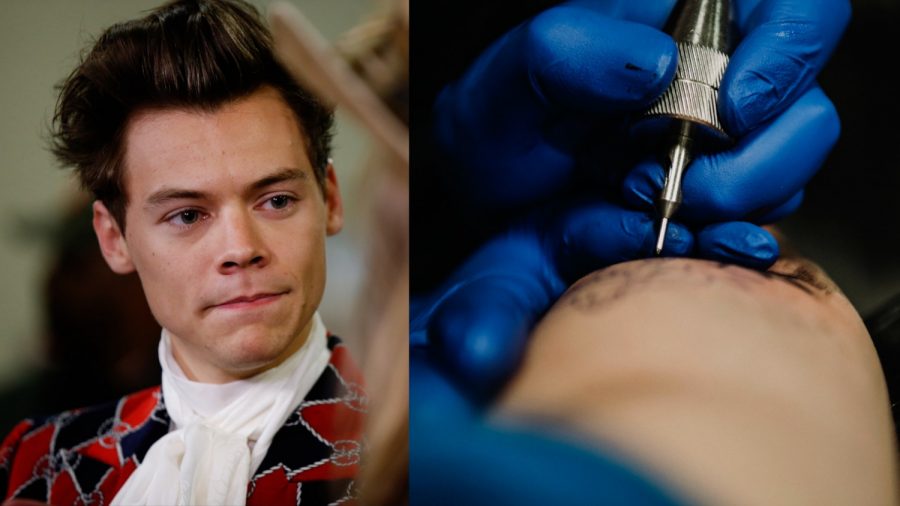 Singer Kelsy Karter Reveals Her Harry Styles Face Tattoo is a Fake Publicity Stunt
