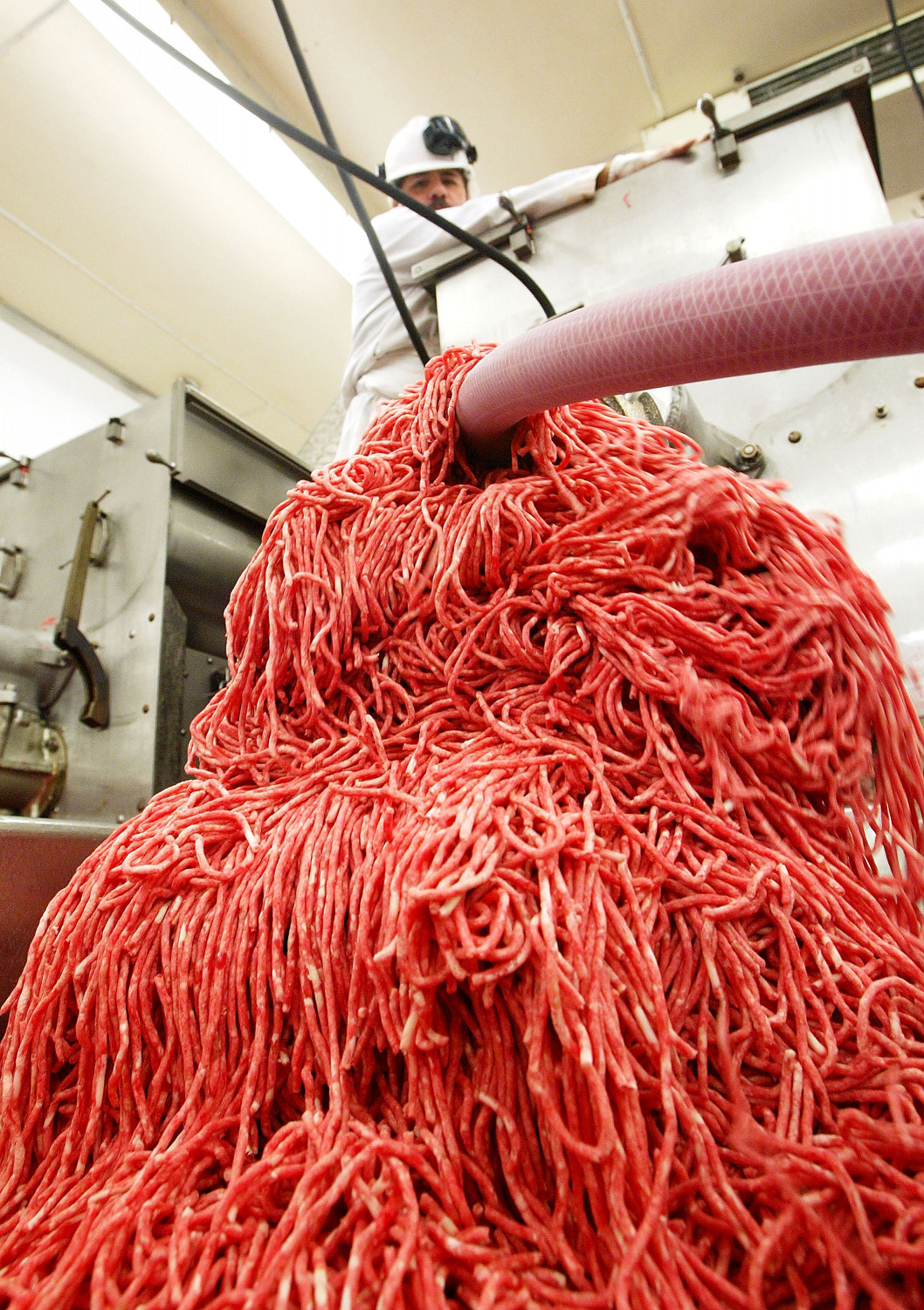 worker at a meat processing facility