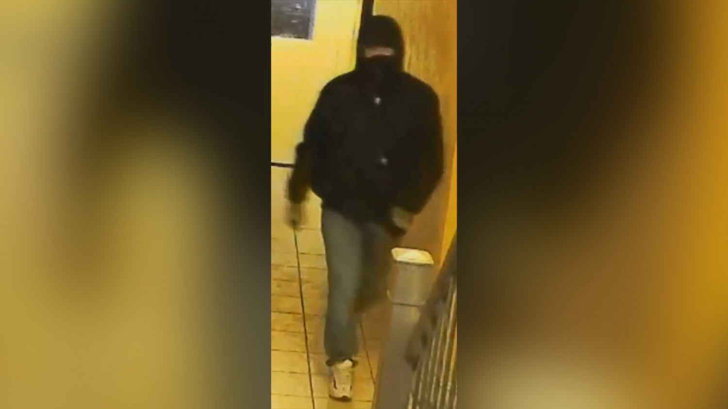 Suspect in Brooklyn Robbery. (NYPD)