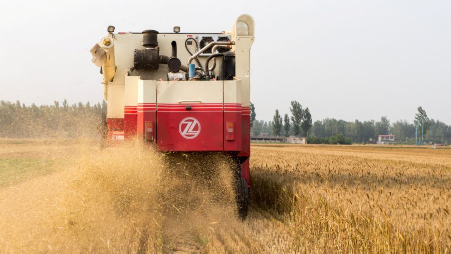 US Wins WTO Ruling on Chinese Grains