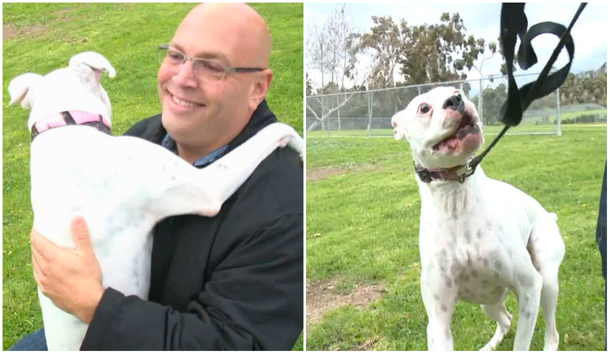 Rescued Dog Saves His Owner From a Heart Attack