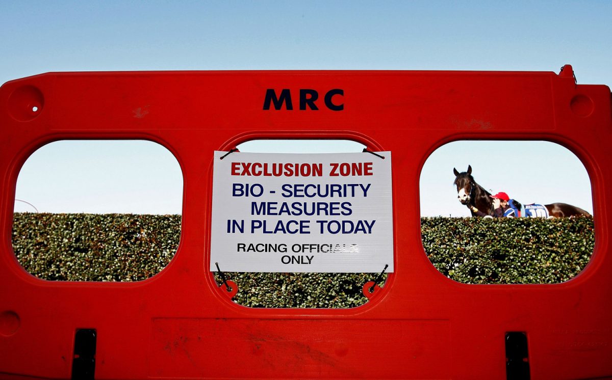 A barricade stops the public getting too close to the horses after the outbreak of equine influenza in Melbourne, Australia, in 2007. (Quinn Rooney/Getty Images)