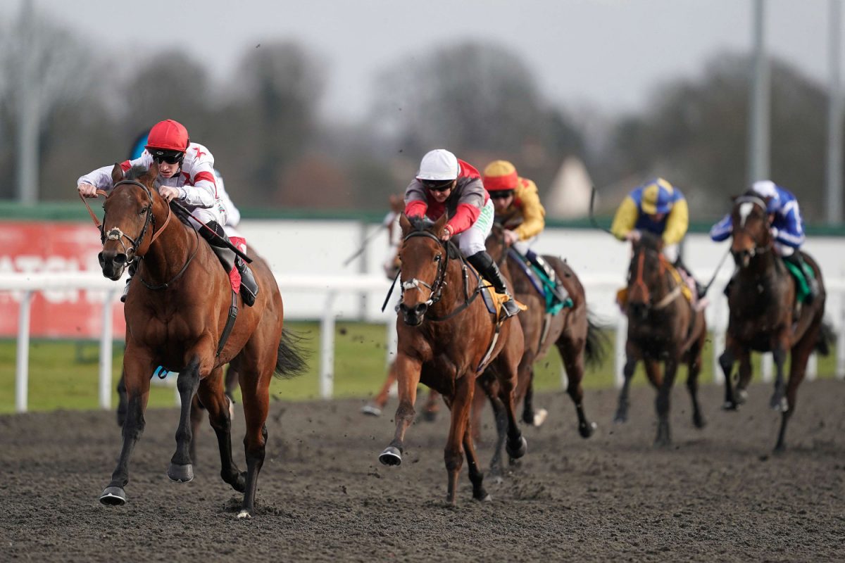 Horses race at Kempton Park Racecourse in Sunbury, United Kingdom, on Feb. 6, 2019, a day before racing was canceled nationwide because of an equine flu outbreak. (Alan Crowhurst/Getty Images)