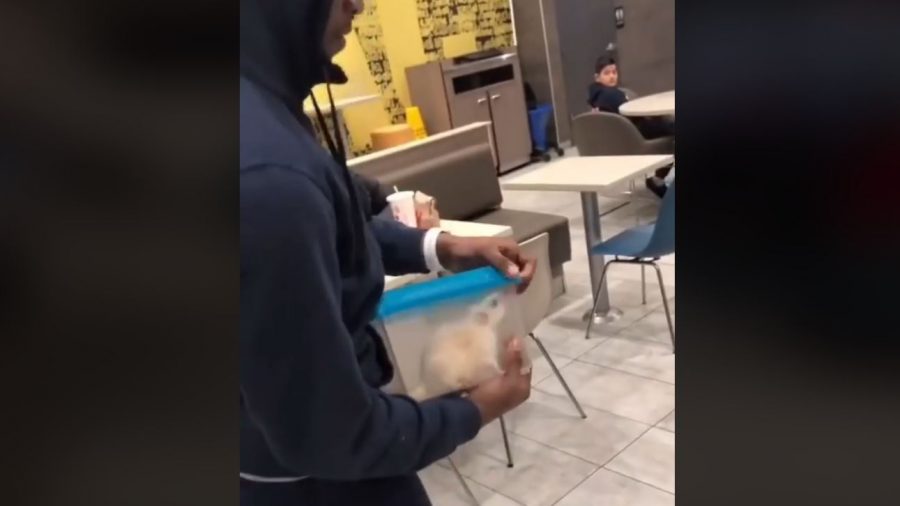 Video: After Man Releases Rat in McDonald’s, Chaos Ensues
