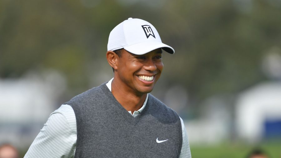 Woods's 'Tiger Slam' Clubs to Be Auctioned