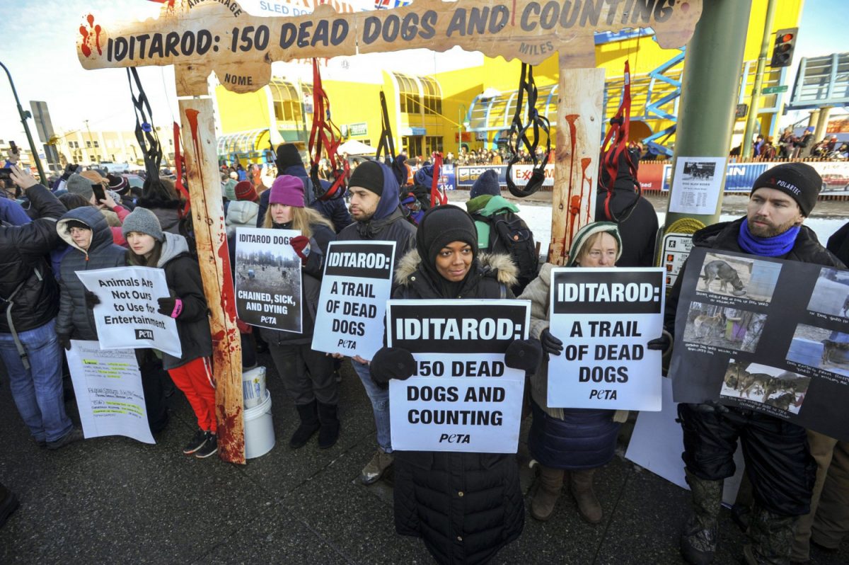 Members of People for the Ethical Treatment of Animals protest prior to the ceremonial start of the Iditarod Trail Sled Dog Race in Anchorage, Alaska, on March 2, 2019. (Michael Dinneen/AP)