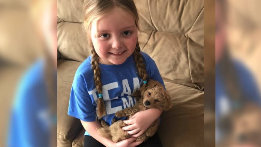 Terminally Ill Wisconsin Girl Receives Over 100,000 Letters From Dogs From Across the World