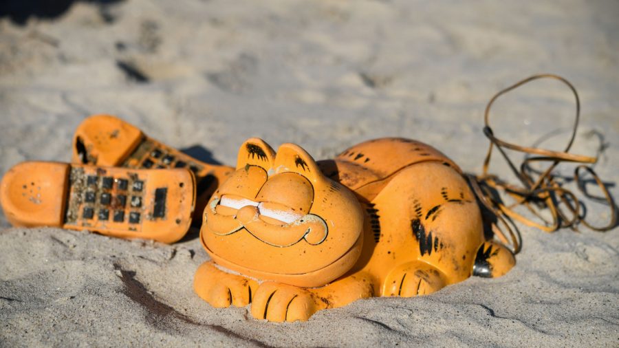 Voila, Garfield Beach Phone Mystery Finally Solved