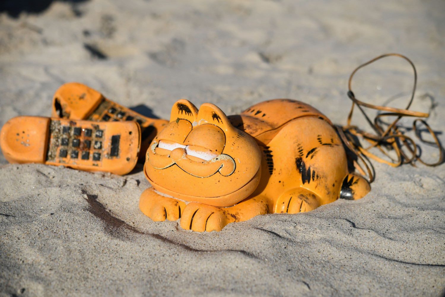 Voila, Garfield Beach Phone Mystery Finally Solved