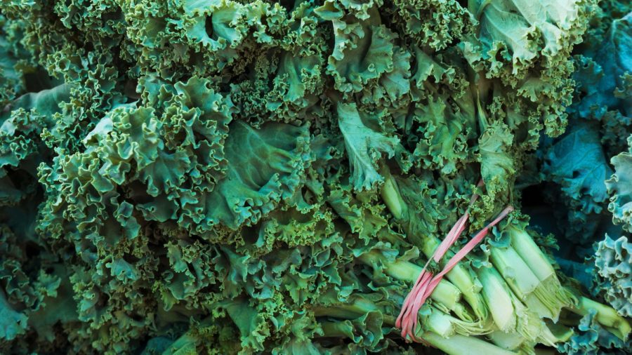 Kale’s Healthy Reputation Takes a Knock in ‘Dirty’ Pesticide Report