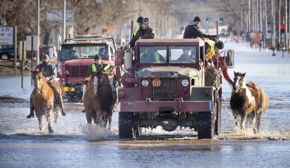 Horses that were being boarded in Inglewood, Neb., are moved through floodwaters to higher ground in Fremont Neb., on March 15, 2019. The flooding followed days of snow and rain — record-setting, in some places — that swept through the West and Midwest. (Kent Sievers/Omaha World-Herald via AP)