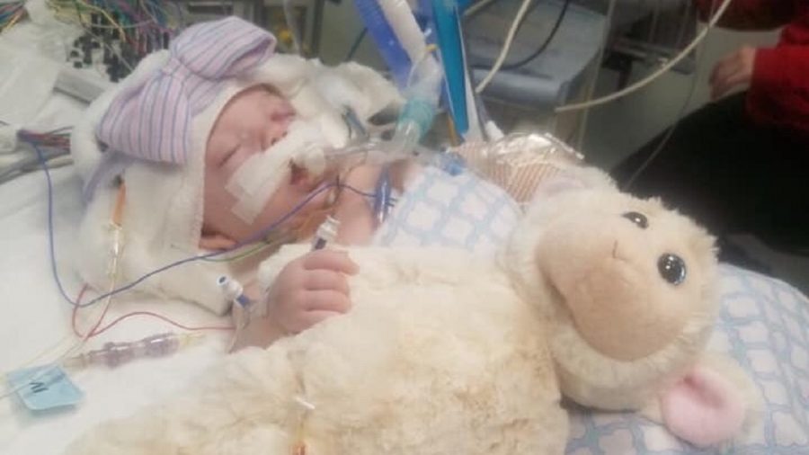 ‘Miracle!’ Tennessee Baby Released From Hospital After Nearly Being Killed by Parents