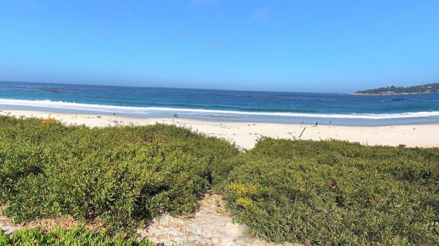 California Man Tries to Impress Girlfriend on the Beach, Backfires